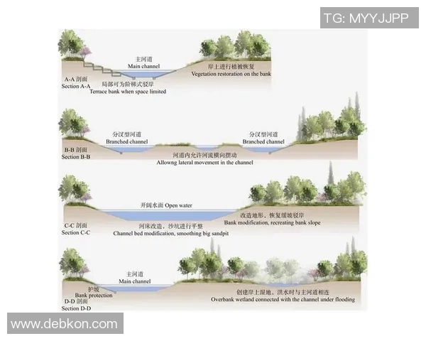 北京排球队耐力对比深度解析与训练策略探讨